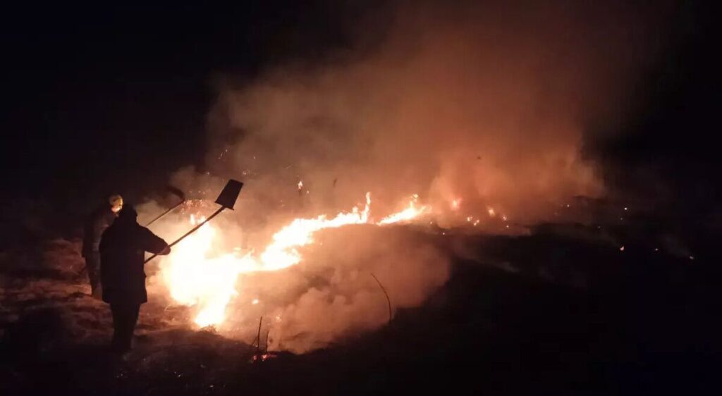 Вогняна боротьба: на Вінниччині за добу погасили 24 пожежі в екосистемах