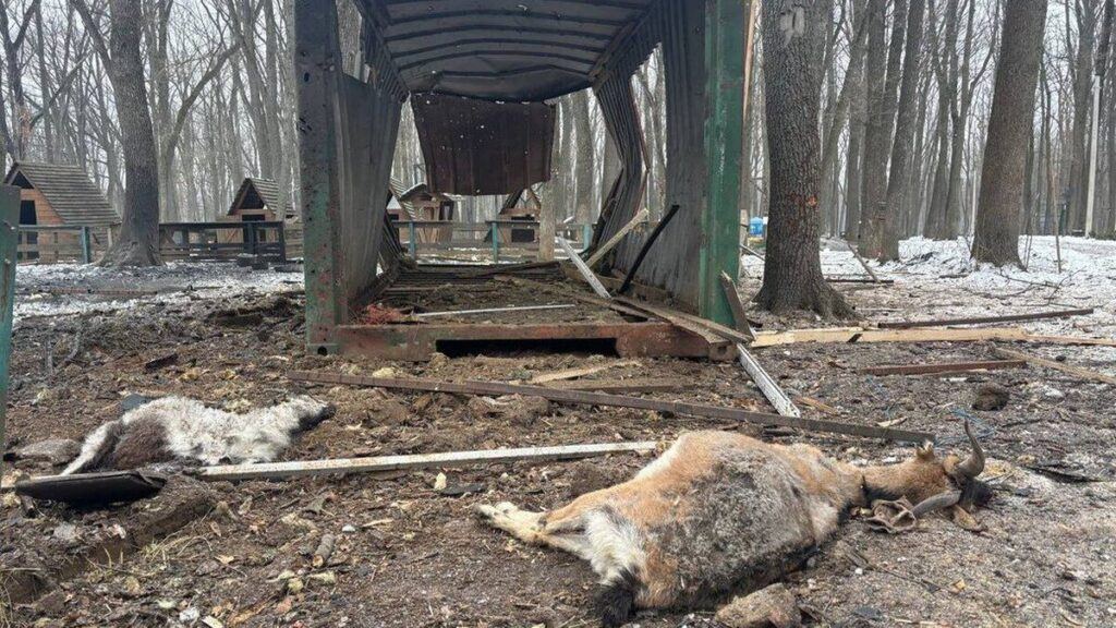 У Харківському екопарку загинули кози через влучання Шахеда