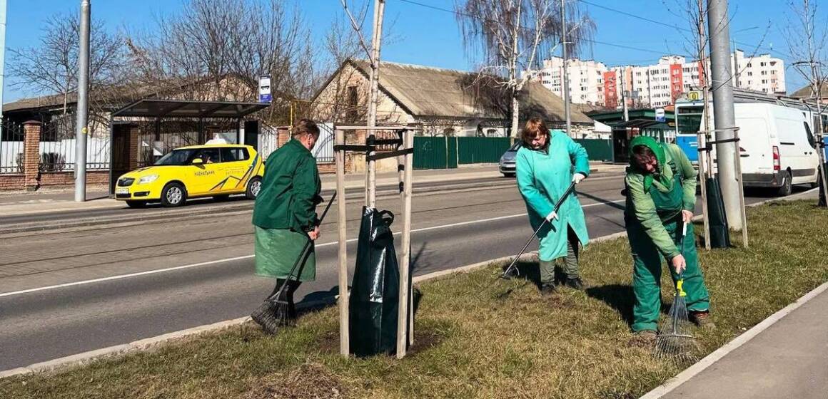 Європейський догляд за молодими деревами: працівники «Вінницязеленбуд» встановили спеціальні мішки для поливу