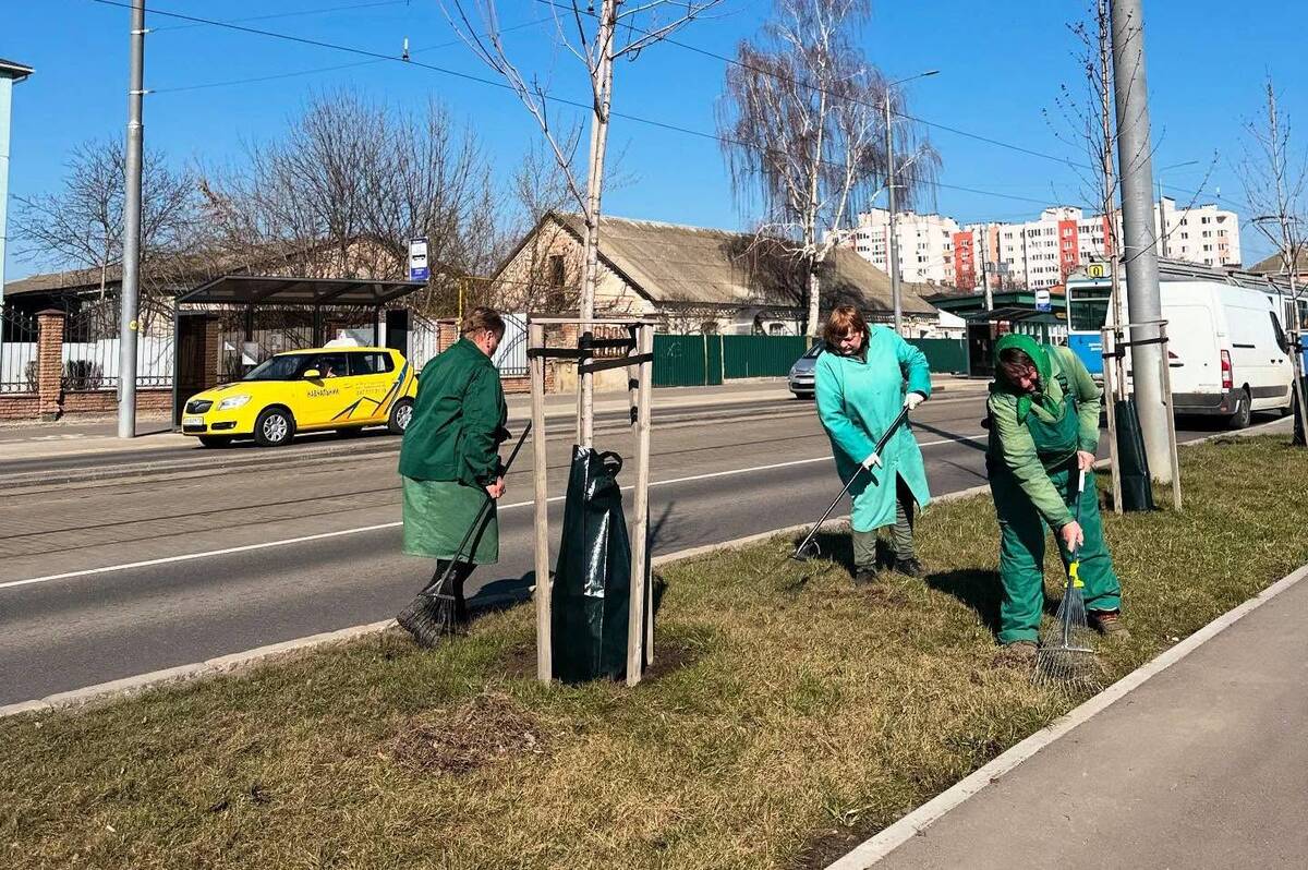 Європейський догляд за молодими деревами: працівники «Вінницязеленбуд» встановили спеціальні мішки для поливу