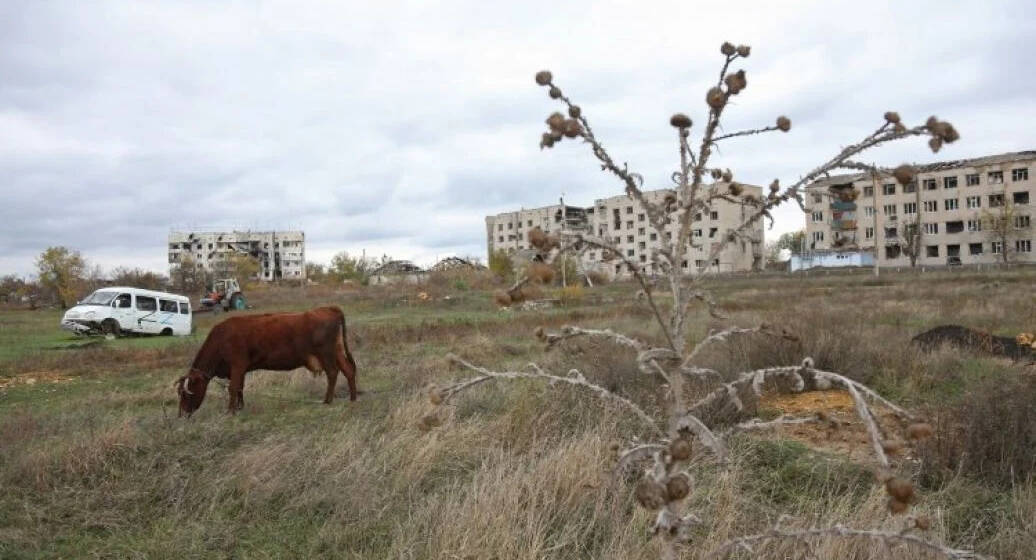 Уряд змінив статус чотирьох селищ у Могилів-Подільському районі Вінниччини