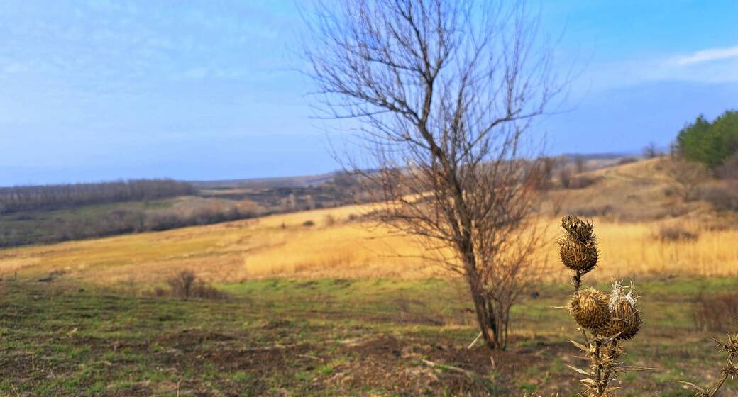 На Вінниччині буде по-весняному тепло: у гідрометцентрі зробили прогноз на 7 березня