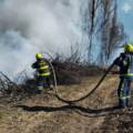 Минулої доби  рятувальники Вінниччини загасили 17 пожеж в екосистемах