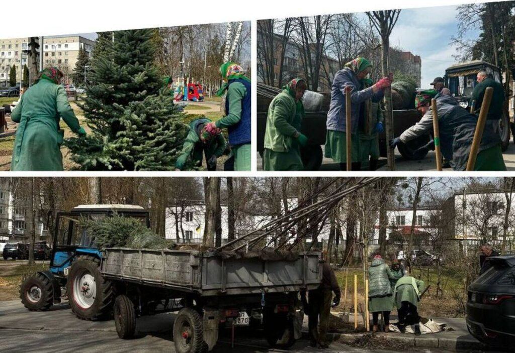 У Вінницькій громаді стартувала весняна висадка дерев