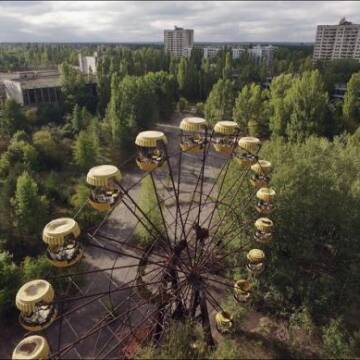У Чорнобилі птахи зазнають серйозних генетичних змін: вчені пояснили, чому це відбувається