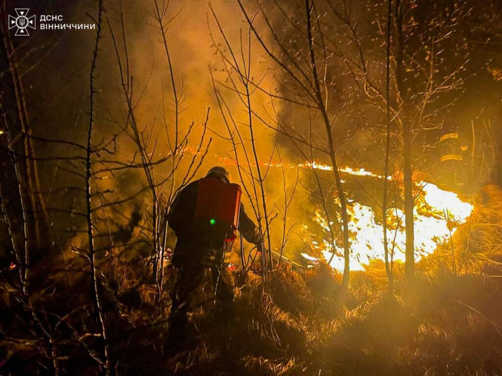 За добу на Вінниччині ліквідовано 24 пожежі: горіло понад 14 гектарів