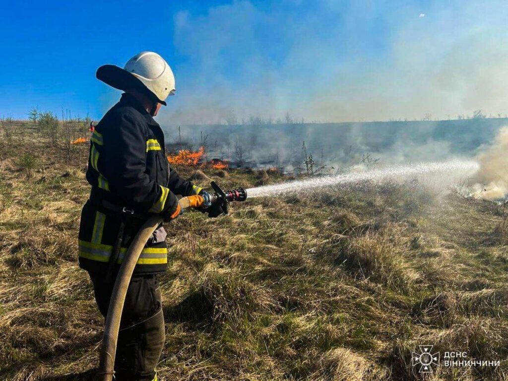 За добу на Вінниччині сталося 36 пожеж, більшість — в екосистемах