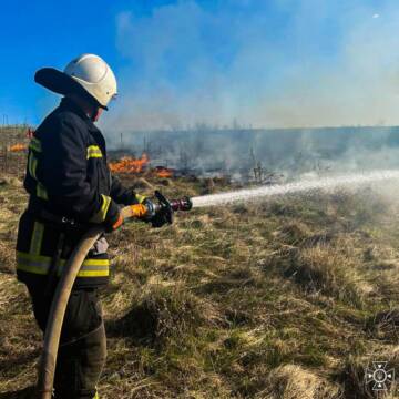 За добу на Вінниччині сталося 36 пожеж, більшість — в екосистемах