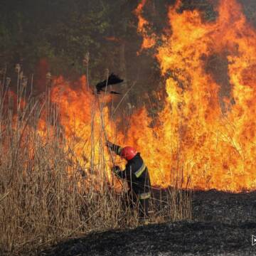 На Вінниччині за останню добу рятувальники загасили 23 пожежі в екосистемах