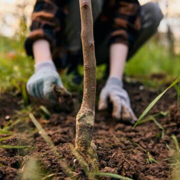 Вінничан запрошують долучитись до створення “Саду підтримки”