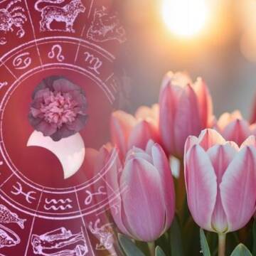 27 квітня — день, коли треба слухати себе: гороскоп у деталях