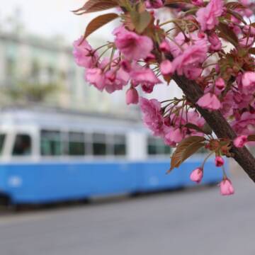 Якою буде погода на Вінниччині 14 квітня