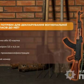 На Вінниччині 267 осіб задекларували знайдену зброю