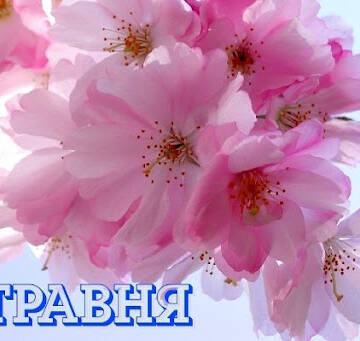 День ангела 1 травня: кого та як вітати з іменинами