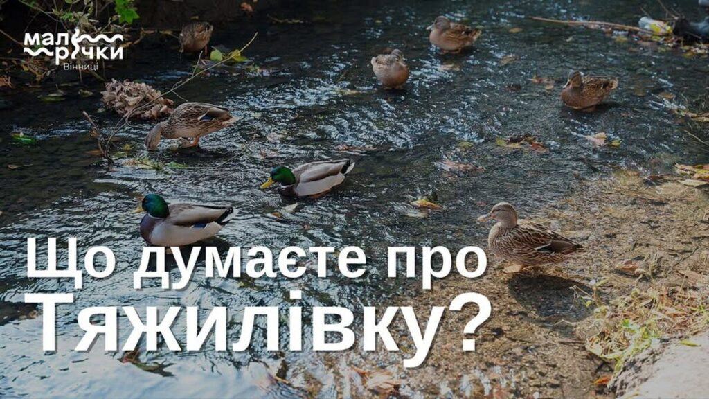 Що для вас Тяжилівка? Вінничан запрошують до участі в екоопитуванні