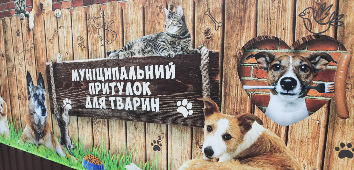 Вінницький муніципальний притулок для тварин рятує чотирилапих із жахливих умов утримання