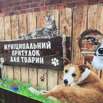 Вінницький муніципальний притулок для тварин рятує чотирилапих із жахливих умов утримання