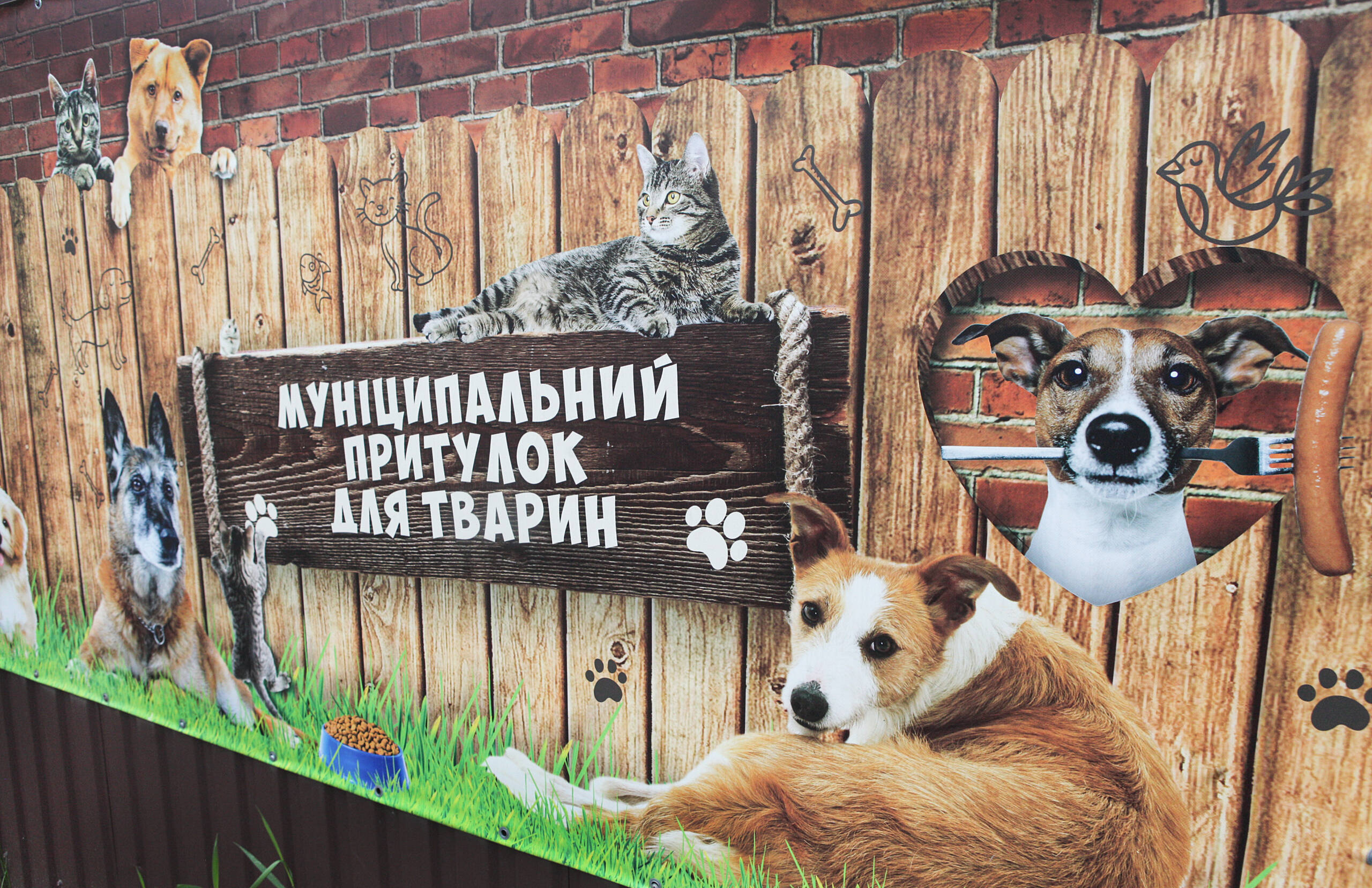 Вінницький муніципальний притулок для тварин рятує чотирилапих із жахливих умов утримання