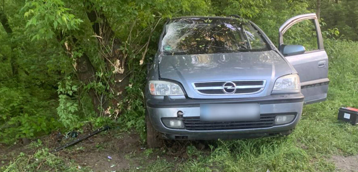 На Вінниччині 22-річний водій влетів у дерево: постраждала пасажирка