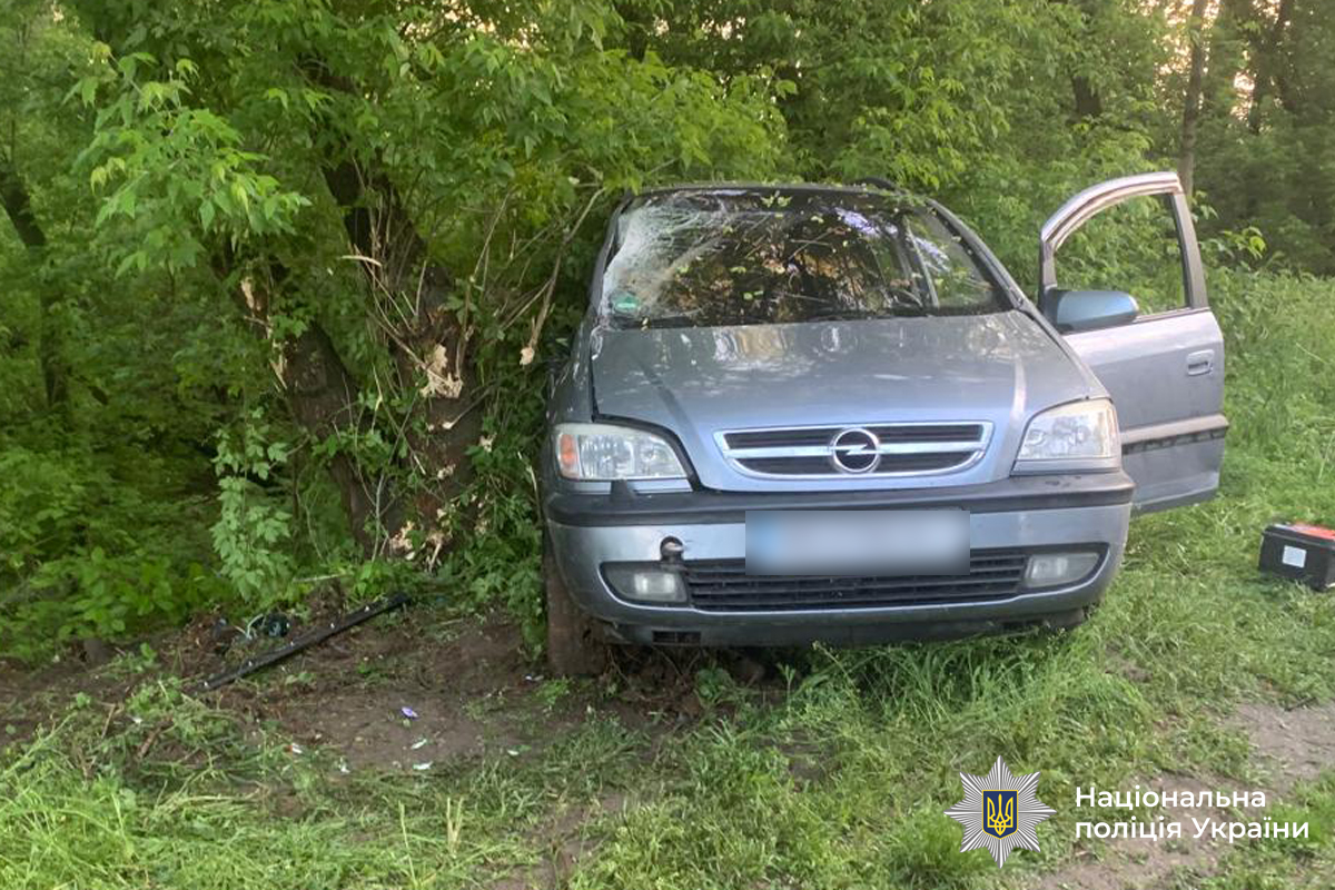На Вінниччині 22-річний водій влетів у дерево: постраждала пасажирка