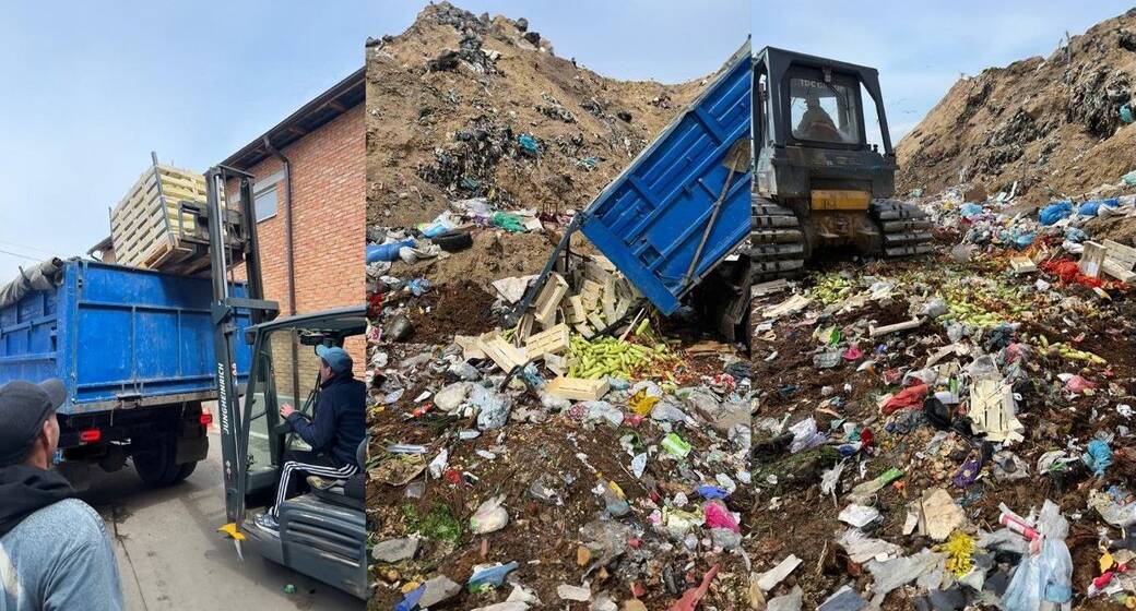 На Вінниччині знищили партію кабачків через перевищення нітратів