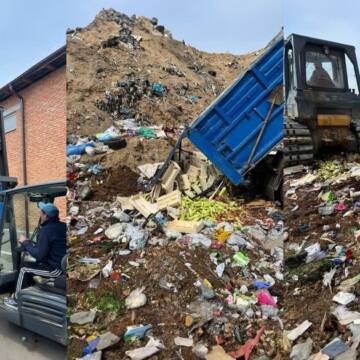 На Вінниччині знищили партію кабачків через перевищення нітратів
