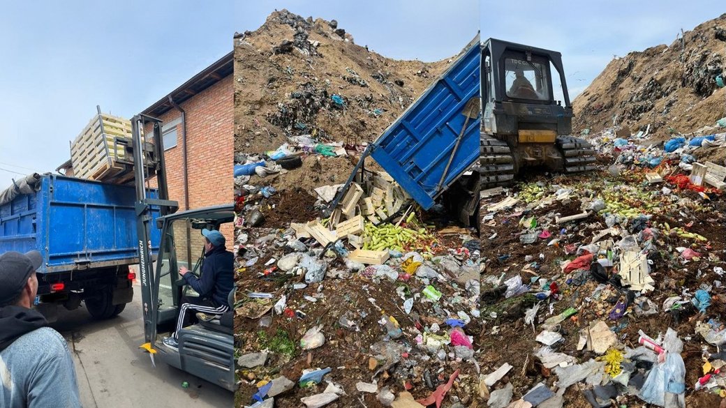 На Вінниччині знищили партію кабачків через перевищення нітратів