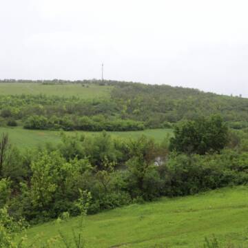 Вінницька обласна Рада продовжить відстоювати існування заказника «Гора Лисківка» біля Буші