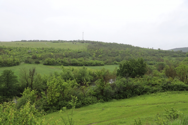 Вінницька обласна Рада продовжить відстоювати існування заказника «Гора Лисківка» біля Буші