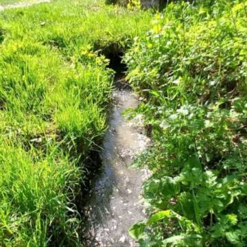 У Вінниці через недбалість мешканки забруднено струмок