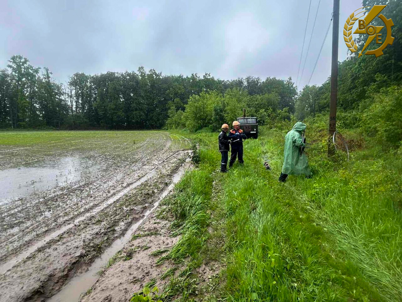 Негода на Вінниччині залишила без світла понад 3 тисячі споживачів