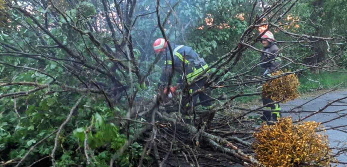 На Вінниччині рятувальники двічі прибирали повалені дерева після буревію