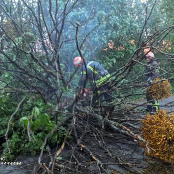 На Вінниччині рятувальники двічі прибирали повалені дерева після буревію