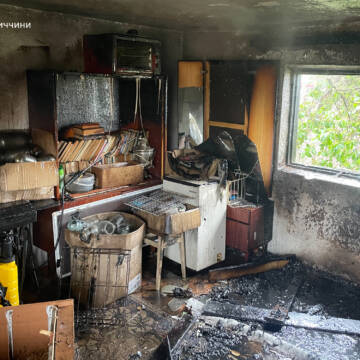 Вісім пожеж за добу: на Вінниччині горіла трава та будинки