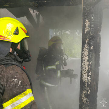 Пожежі на Вінниччині: за добу ліквідували 8 займань, є постраждалий