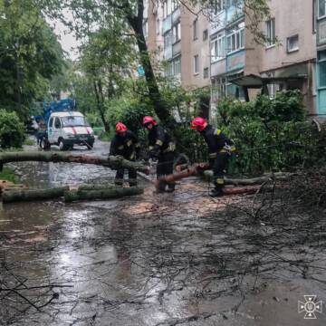 На Вінниччині рятувальники ліквідували наслідки негоди