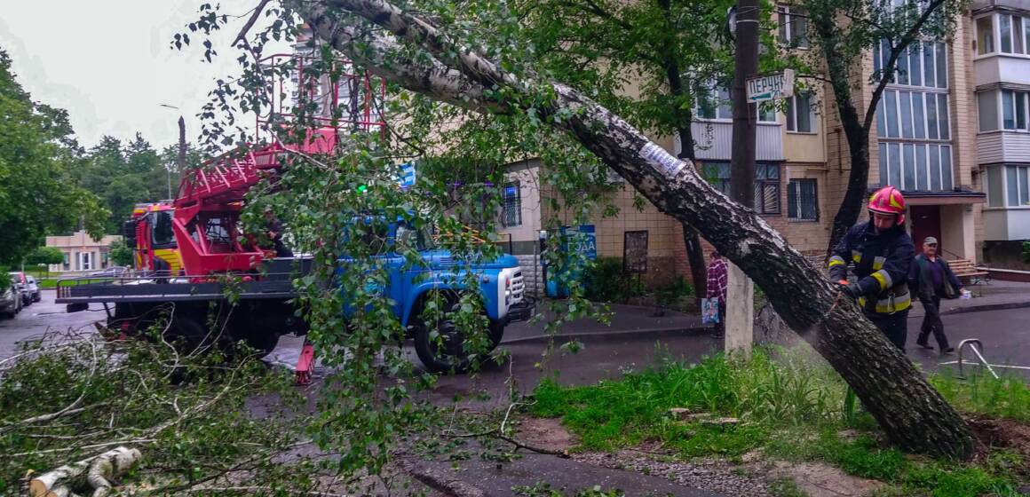 ДСНС здійснила 23 виїзди для ліквідації наслідків негоди в області