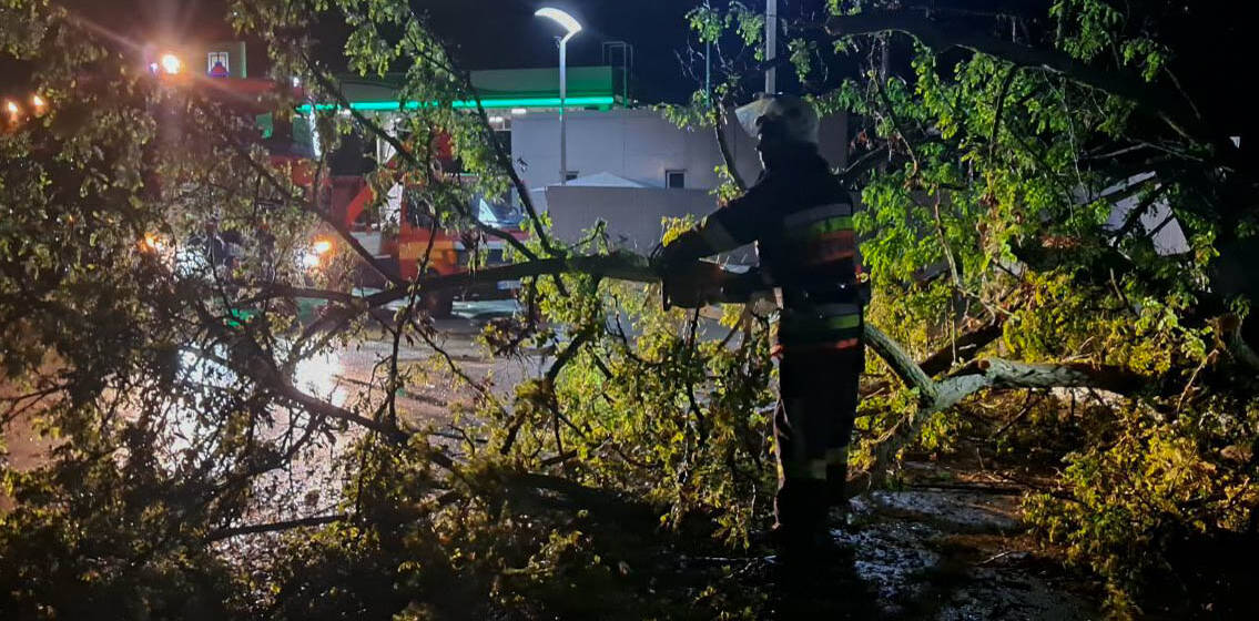 На Вінниччині рятувальники розчистили автошляхи від повалених негодою дерев