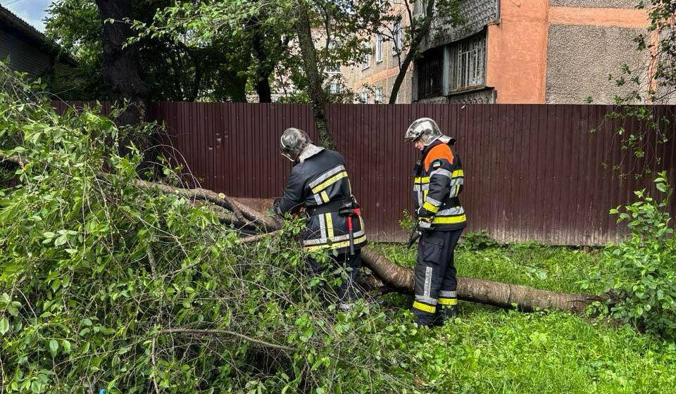 На Вінниччині рятувальники ліквідовували наслідки зливи