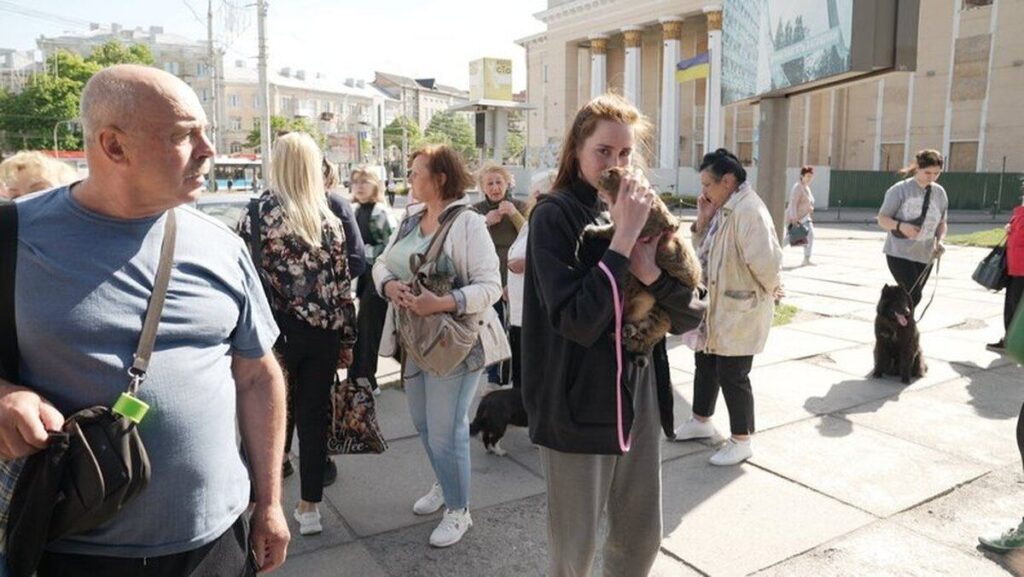 У Вінниці за добу вакцинували понад 150 тварин від сказу
