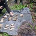 Браконьєр на Вінниччині наловив риби на понад 72 тисячі гривень