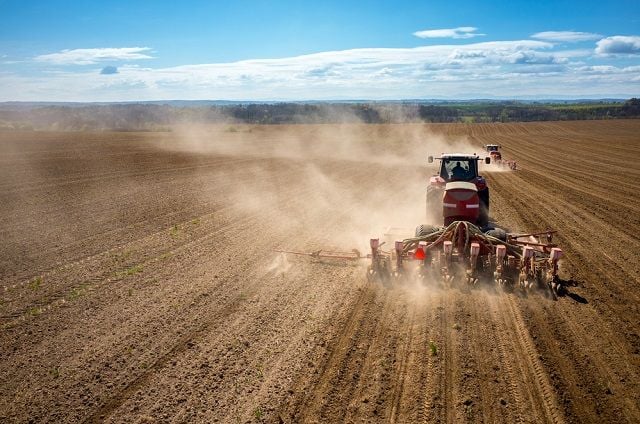 На Вінниччині стартував посів гречки та проса: польові роботи у розпалі