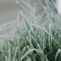 Увага: на Вінниччині очікуються заморозки до -3°C