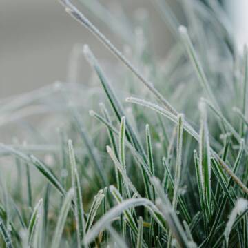 Увага: на Вінниччині очікуються заморозки до -3°C