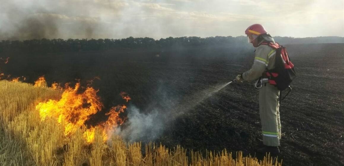 Дощі втамували вогонь: рятувальники підбили тривожну статистику пожеж
