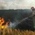 Дощі втамували вогонь: рятувальники підбили тривожну статистику пожеж