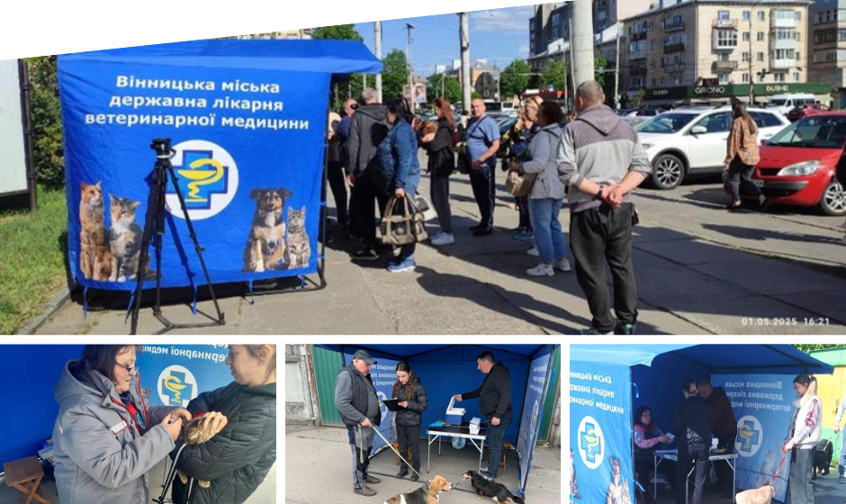 У Вінниці триває вакцинація тварин від сказу: щеплено вже майже 1300 улюбленців