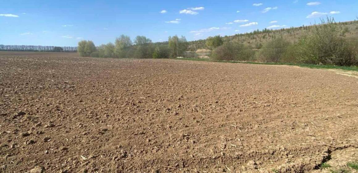 Екопорушення у Жмеринці: самовільно зайняли землі біля водойм