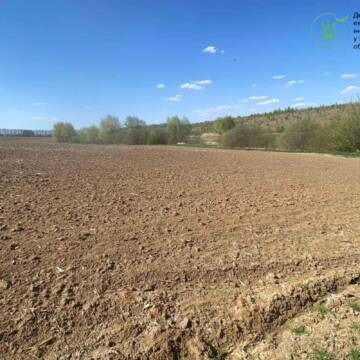 Екопорушення у Жмеринці: самовільно зайняли землі біля водойм