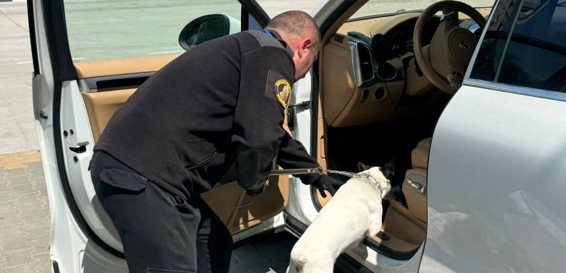Пес Фокс допоміг вінницьким митникам знайти канабіс у Porsche на кордоні з Молдовою